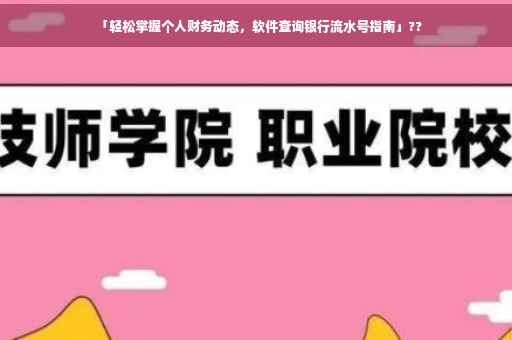 「轻松掌握个人财务动态，软件查询银行流水号指南」??