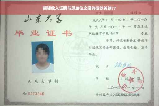 揭秘收入证明与原单位之间的微妙关联??
