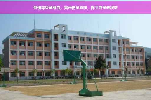 受伤等级证明书，揭示伤害真相，捍卫受害者权益
