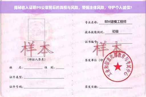 揭秘收入证明PS公章背后的真相与风险，警惕法律风险，守护个人诚信?