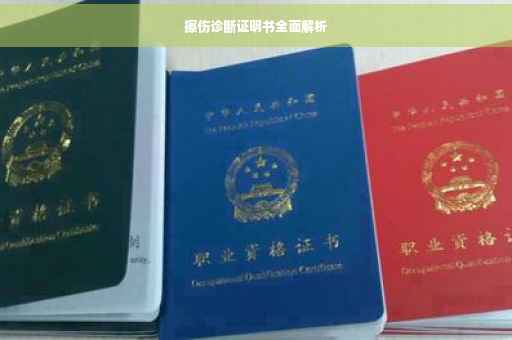 擦伤诊断证明书全面解析