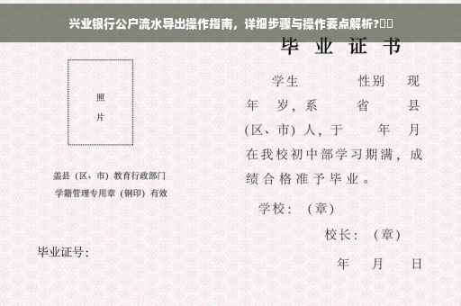 兴业银行公户流水导出操作指南，详细步骤与操作要点解析?⚡️