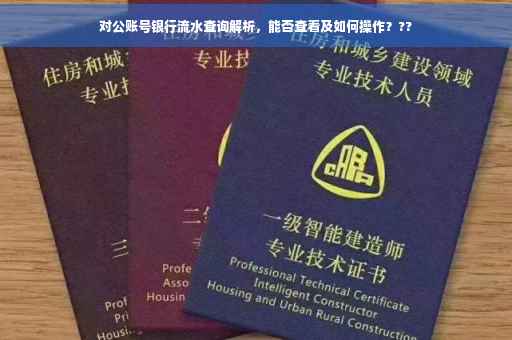 对公账号银行流水查询解析，能否查看及如何操作？??