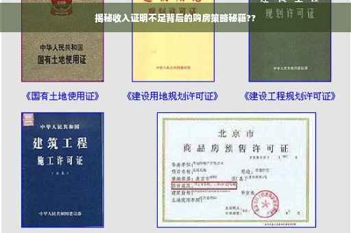 揭秘收入证明不足背后的购房策略秘籍??