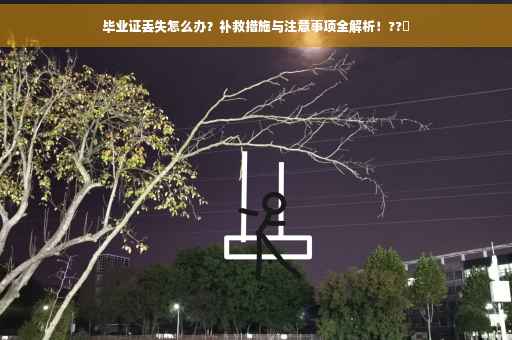 毕业证丢失怎么办？补救措施与注意事项全解析！??✨
