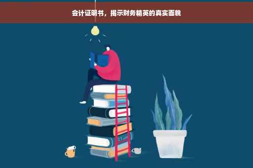 会计证明书，揭示财务精英的真实面貌