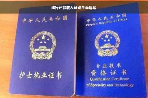 建行还款收入证明全面解读