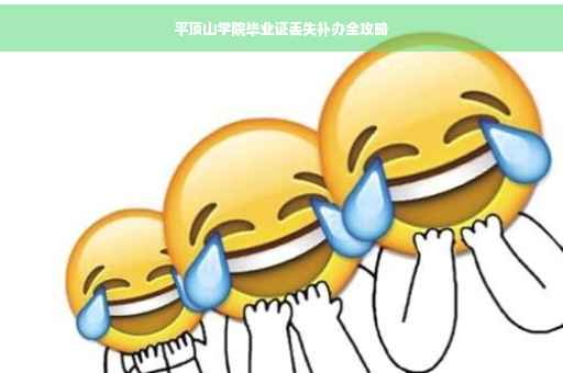 平顶山学院毕业证丢失补办全攻略