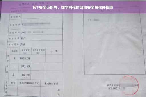 WF安全证明书，数字时代的网络安全与信任保障