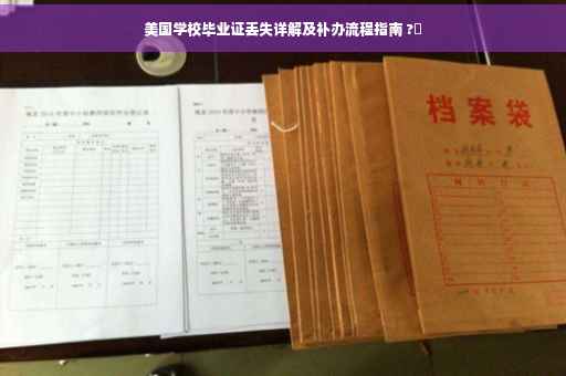 美国学校毕业证丢失详解及补办流程指南 ?✨