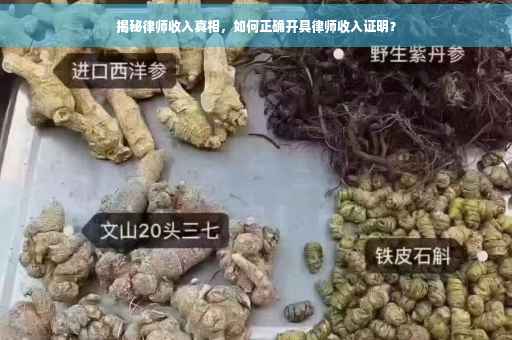 揭秘律师收入真相，如何正确开具律师收入证明？