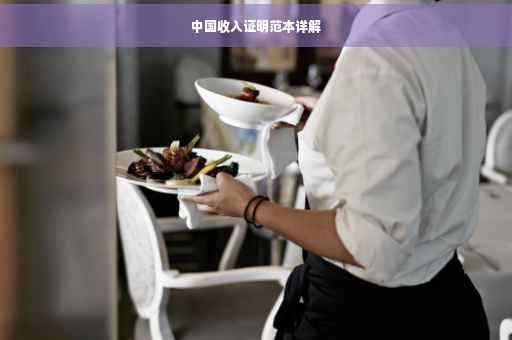 中国收入证明范本详解