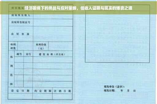 经济困境下的挑战与应对策略，低收入证明与现实的博弈之道