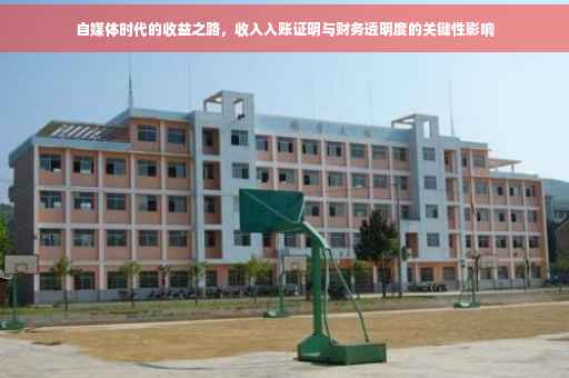 自媒体时代的收益之路，收入入账证明与财务透明度的关键性影响