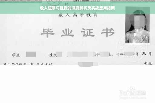 收入证明与担保的深度解析及实战应用指南