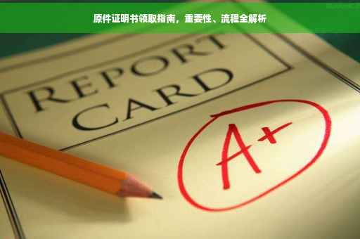 原件证明书领取指南,重要性、流程全解析 原件证明书领取指南,重要性、流程全解析