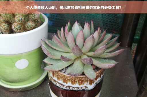 个人税金收入证明，揭示财务真相与税务常识的必备工具?