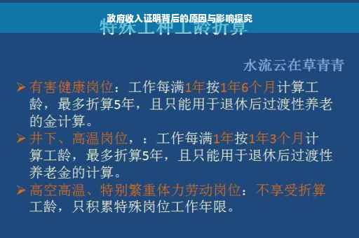 政府收入证明背后的原因与影响探究