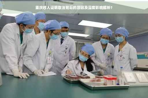 重庆收入证明取消背后的原因及深度影响解析? 重庆收入证明取消背后的原因及深度影响解析?