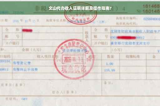 文山代办收入证明详解及操作指南?