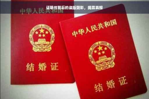 证明书背后的盗版阴影，揭露真相