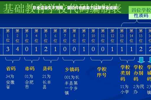 毕业证丢失不用愁，复印件也能助力证明学业成就！