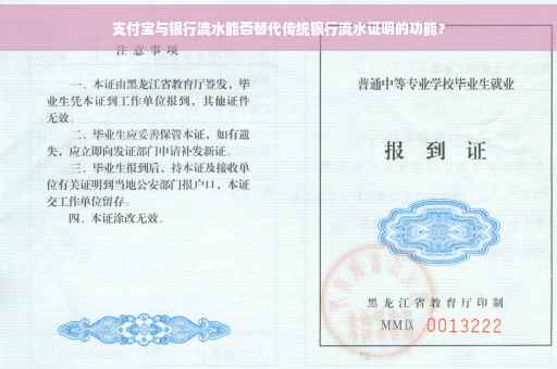 支付宝与银行流水能否替代传统银行流水证明的功能？