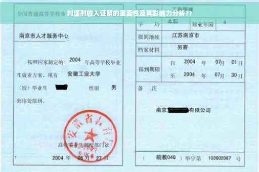 判缓刑收入证明的重要性及其影响力分析??
