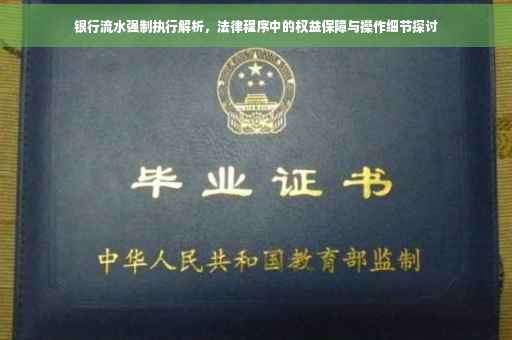 银行流水强制执行解析，法律程序中的权益保障与操作细节探讨