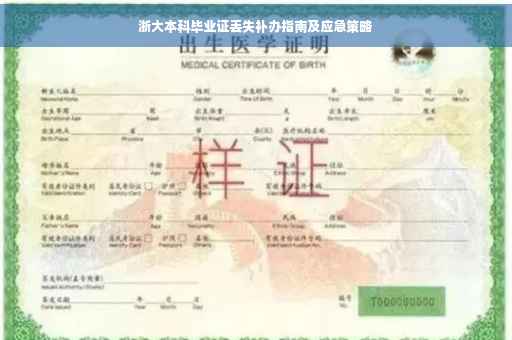浙大本科毕业证丢失补办指南及应急策略