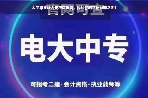 大学毕业证丢失应对指南，找回你的学历证明之路！