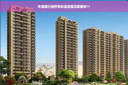 农商银行抵押房拍卖流程深度解析??