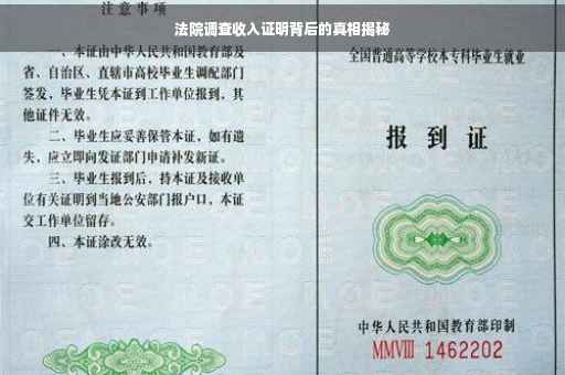法院调查收入证明背后的真相揭秘