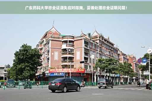 广东药科大学毕业证遗失应对指南，妥善处理毕业证明问题！