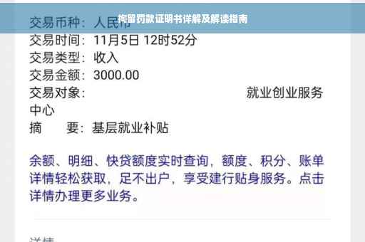 拘留罚款证明书详解及解读指南