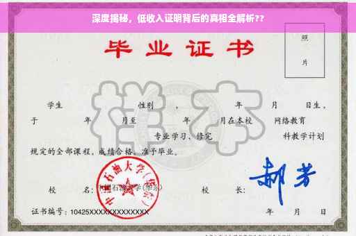 深度揭秘，低收入证明背后的真相全解析??