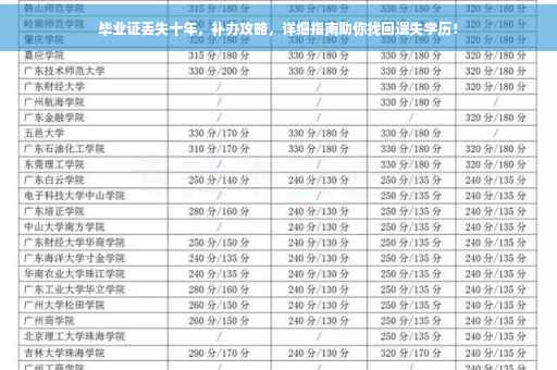 毕业证丢失十年，补办攻略，详细指南助你找回遗失学历！