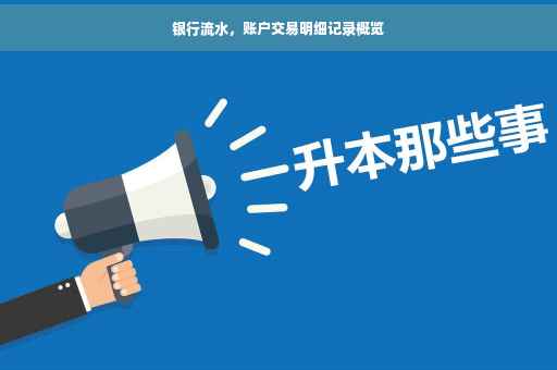 银行流水，账户交易明细记录概览