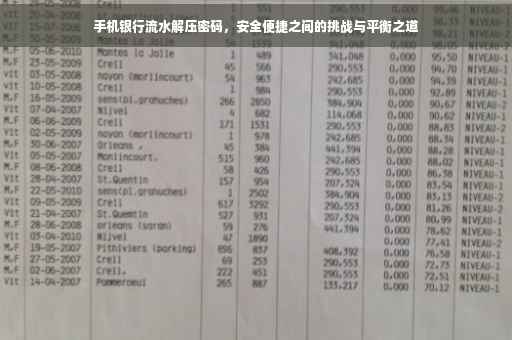手机银行流水解压密码，安全便捷之间的挑战与平衡之道