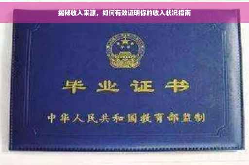 揭秘收入来源，如何有效证明你的收入状况指南
