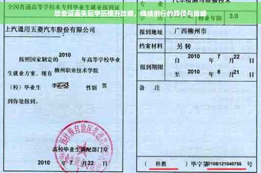 毕业证丢失后学历提升攻略，继续前行的路径与策略