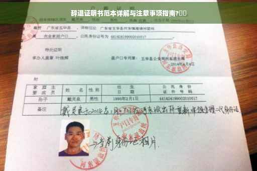 辞退证明书范本详解与注意事项指南?⚡️