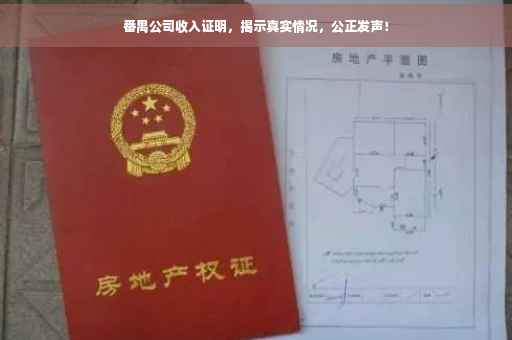 番禺公司收入证明，揭示真实情况，公正发声！
