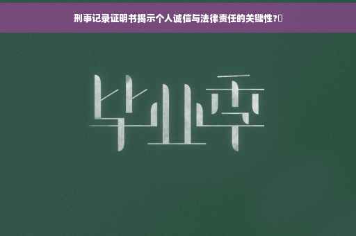 刑事记录证明书揭示个人诚信与法律责任的关键性?✨