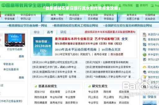 「独家揭秘石家庄银行流水制作地点全攻略」