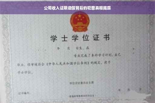 公司收入证明造假背后的犯罪真相揭露