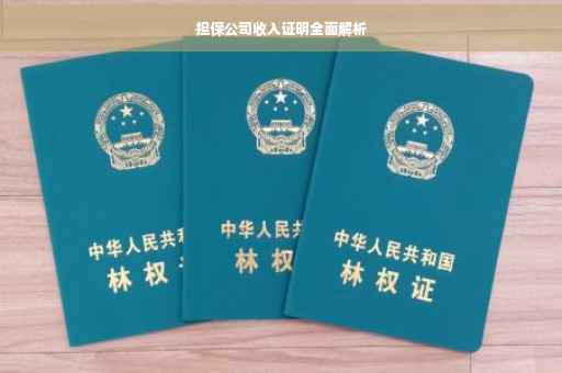 担保公司收入证明全面解析