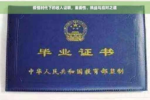 疫情时代下的收入证明，重要性、挑战与应对之道