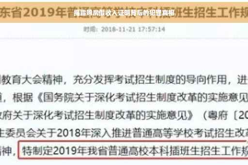 揭露购房假收入证明背后的犯罪真相