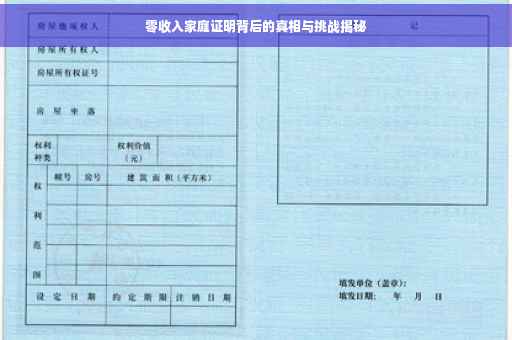 零收入家庭证明背后的真相与挑战揭秘